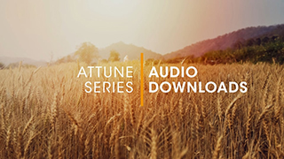 D.1.1 - Attune Audio Downloads