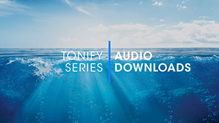 D.1.3 - Tonify Audio Downloads