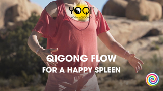 M1.1-10 Happy Spleen & Stomach (No Music)