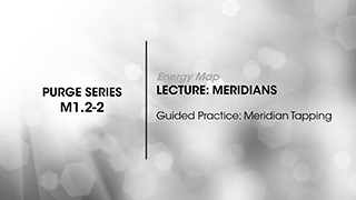 M1.2-2 Energy Map: The Meridians