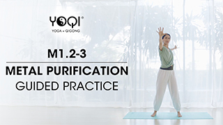 M1.2-3 Metal Purification Guided Practice
