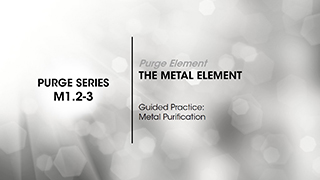 M1.2-3 The Metal Element
