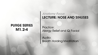 M1.2-4 The Nose and Sinuses