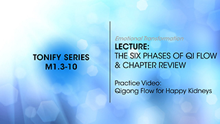 M1.3-10 The Six Phases of Qi Flow
