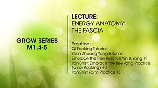 M1.4-5 Energy Anatomy: The Fascia