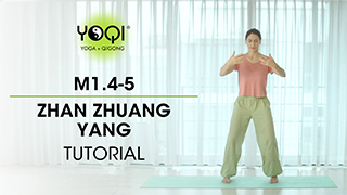 M1.4-5 Zhan Zhuang Yang Tutorial