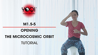 M1.5-5 Opening the Microcosmic Orbit Tutorial