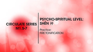 M1.5-7 Psycho-Spiritual Level: Shen