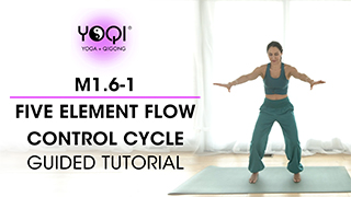 M1.6-1 Five Element Control Cycle Tutorial