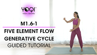 M1.6-1 Five Element Flow Generative Cycle Tutorial