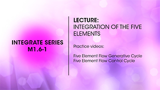 M1.6-1 Integration of the Five Elements