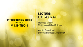 M1.Intro-1 Feel Your Qi