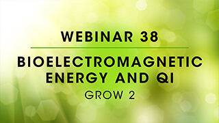 Webinar 38: Grow 2 - Bioelectromagnetic Energy and Qi